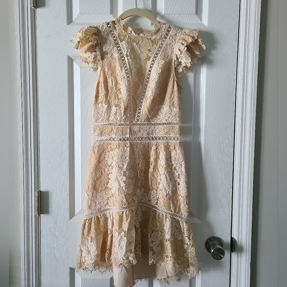 Saylor Kelly Lace Mini Dress - Picture 2 of 10